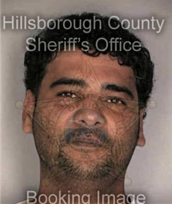 Mario Guarez, - Hillsborough County, FL 