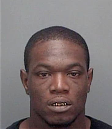 Vincent Henry, - Pinellas County, FL 