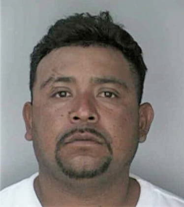 Orelve Hernandez - Hillsborough County, FL 