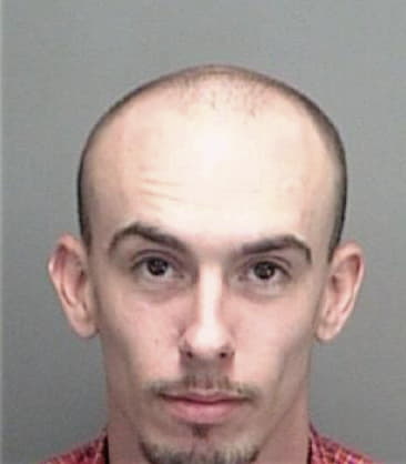 Louis Lauro, - Pinellas County, FL 