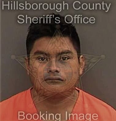 Daniel Liebermann-Davidson, - Hillsborough County, FL 