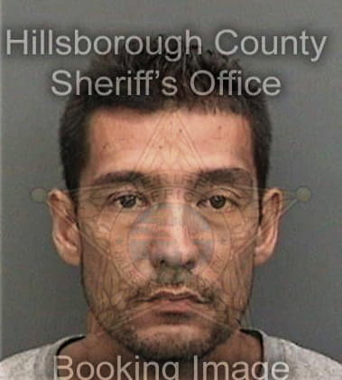 John Locke, - Hillsborough County, FL 