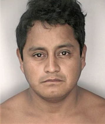 Nicholas Bostwick - Hillsborough County, FL 