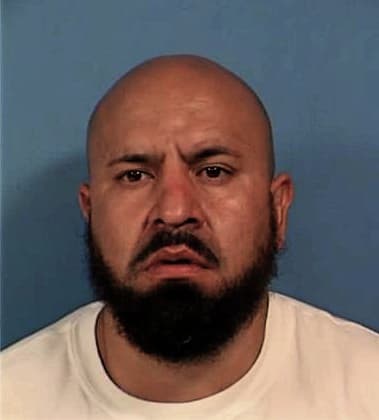 Adan Gonzaga-Tagle - DuPage County, IL 