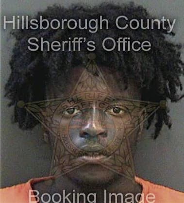 Joshua Hamilton, - Hillsborough County, FL 