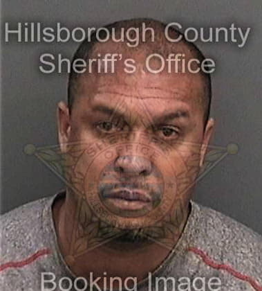 Herlin Hernandez - Hillsborough County, FL 