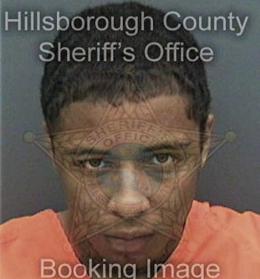 Tyrone Johnson, - Hillsborough County, FL 