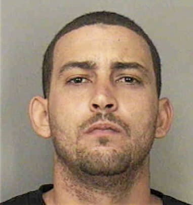 Vicente Lanza-Torres, - Polk County, FL 