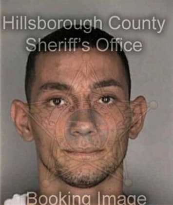 Christopher McClure - Hillsborough County, FL 