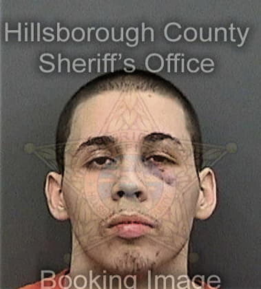 Theodore McGill - Hillsborough County, FL 