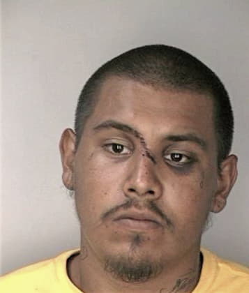 Joseph Mistretta - Hillsborough County, FL 