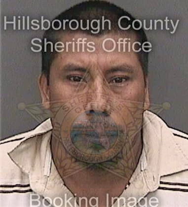 Alexander Oramas, - Hillsborough County, FL 