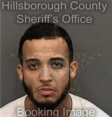 Anthony Roman, - Hillsborough County, FL 