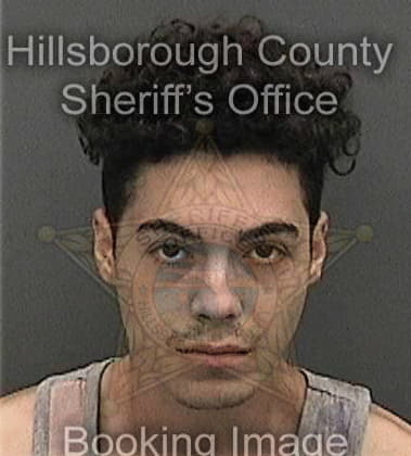 Joseph Santiago, - Hillsborough County, FL 