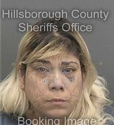 Shannon Seibel, - Hillsborough County, FL 