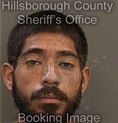 Julio Valdes, - Hillsborough County, FL 