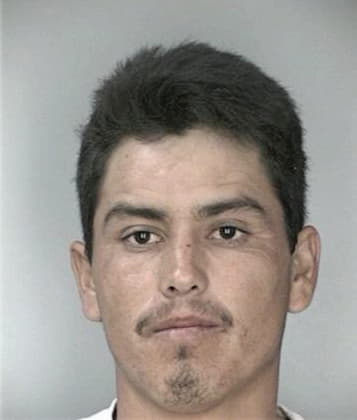 Christian Vilanueva, - Hillsborough County, FL 