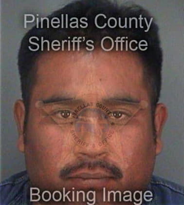 Ericks Delgado, - Pinellas County, FL 