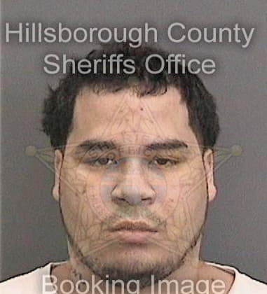 William Dickerson, - Hillsborough County, FL 