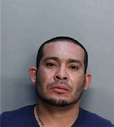 Romesh Fonsecagamboa, - Dade County, FL 