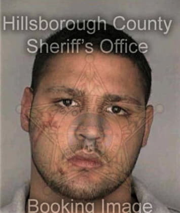 Victor Riveracarrasguillo - Hillsborough County, FL 
