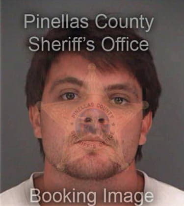 Nikolaus Andreatas, - Pinellas County, FL 