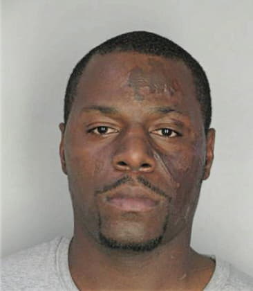 Lewis Boone - Hillsborough County, FL 
