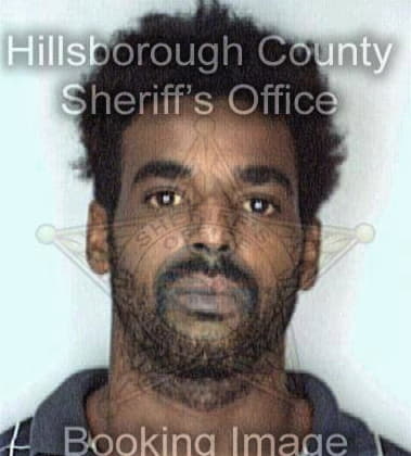 Tremayne Brooks, - Hillsborough County, FL 