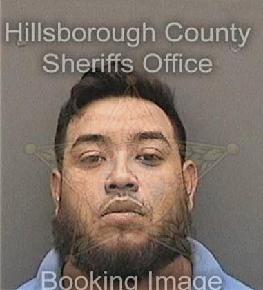 Anthony Dietz, - Hillsborough County, FL 