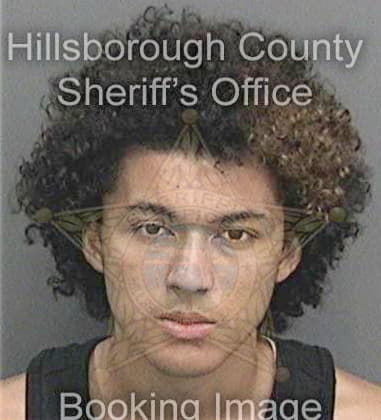 Micah Jones, - Hillsborough County, FL 