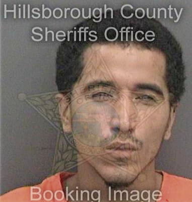 Luis Juarezbeltran, - Hillsborough County, FL 