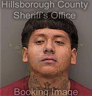 Andrew McDonald - Hillsborough County, FL 