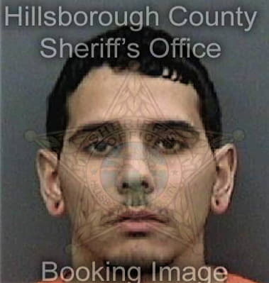 Anthony Owens, - Hillsborough County, FL 