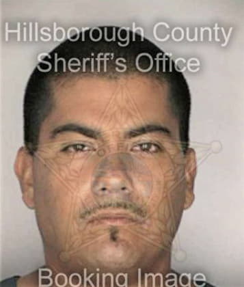 Daniel Pottinger, - Hillsborough County, FL 