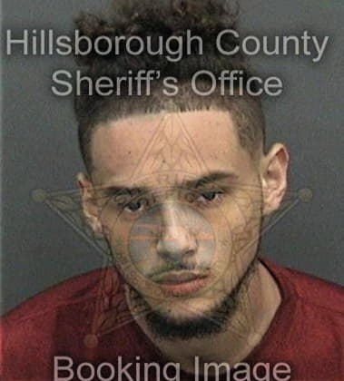 Anthony Rhynes, - Hillsborough County, FL 