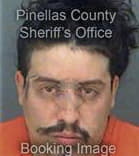 Robert Sanz-Perez, - Pinellas County, FL 