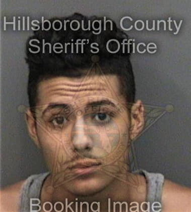 Giovanni Visca, - Hillsborough County, FL 