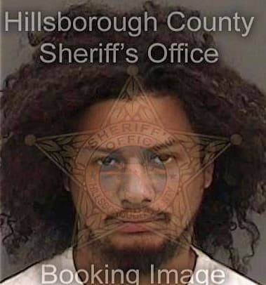 Malvyn Barreto-Vargas, - Hillsborough County, FL 