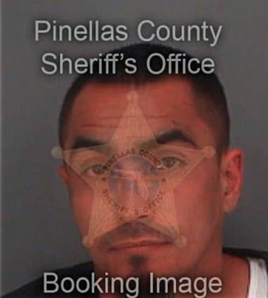 Nicholas Grant, - Pinellas County, FL 