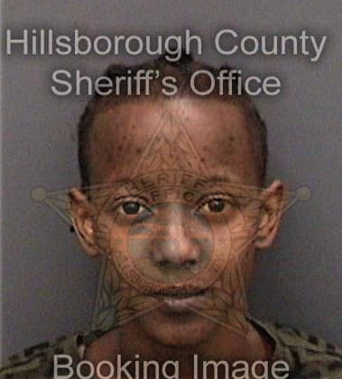 Georgetta Haugbrook, - Hillsborough County, FL 