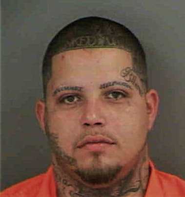 Carlos Madrigalhernandez, - Collier County, FL 