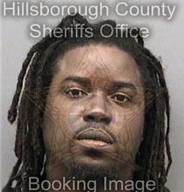 Travis Mathis - Hillsborough County, FL 