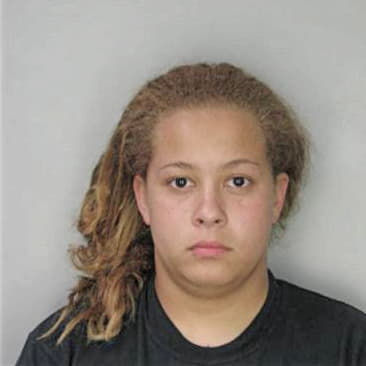 Lisa McVeigh - Hillsborough County, FL 