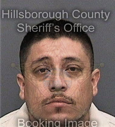 Travis Setty, - Hillsborough County, FL 