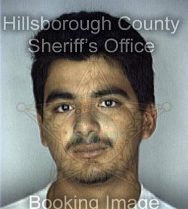 Pieter Boss - Hillsborough County, FL 