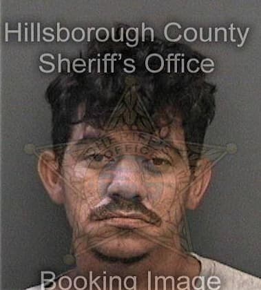 David Coffee - Hillsborough County, FL 