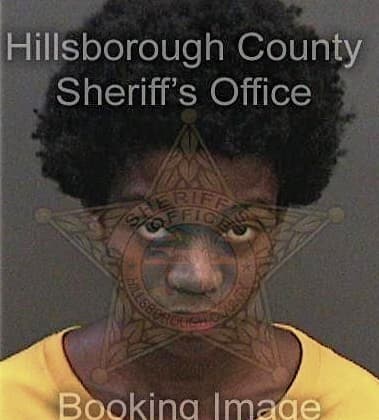 Senoia McGhee - Hillsborough County, FL 