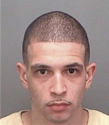 Abelardo Ocampougarte, - Pinellas County, FL 