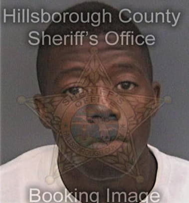 Demonterrio Wilson, - Hillsborough County, FL 