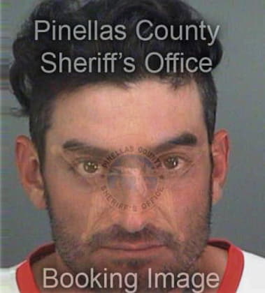 Patrick Bingold, - Pinellas County, FL 